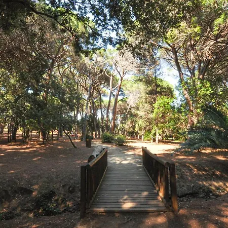 Amazing In Sainte-Maxime