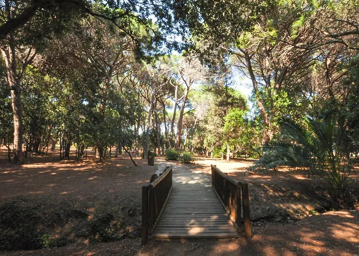 Amazing In Sainte-Maxime